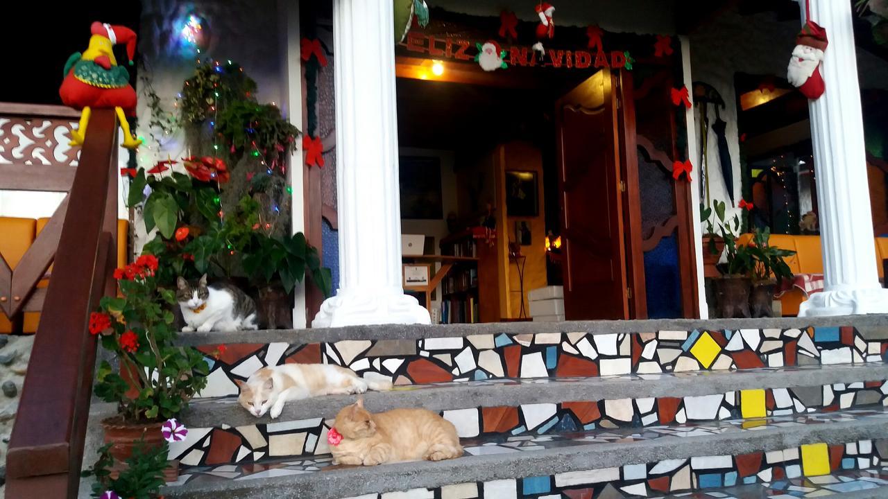 Coliving La Boira Bed and Breakfast Jardín Eksteriør billede