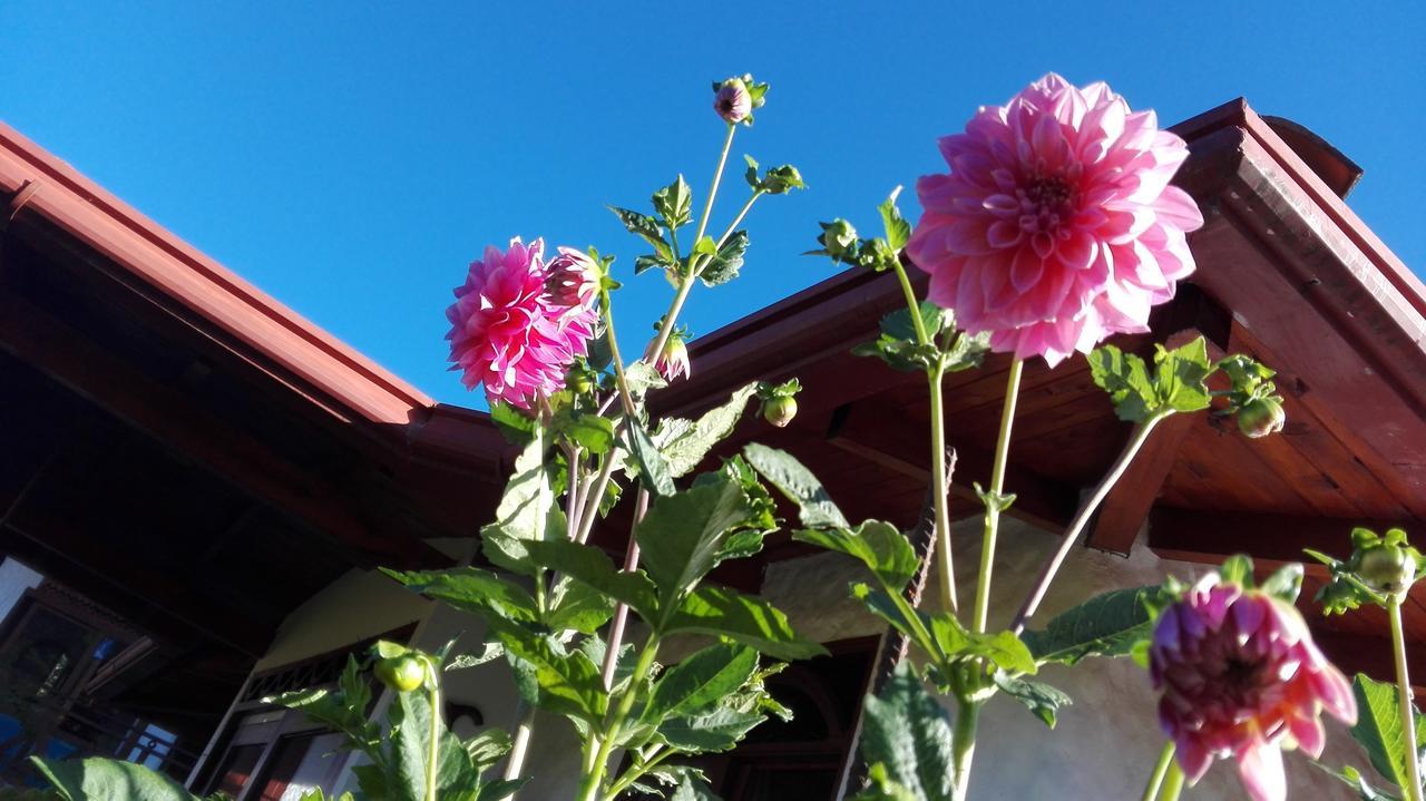 Coliving La Boira Bed and Breakfast Jardín Eksteriør billede