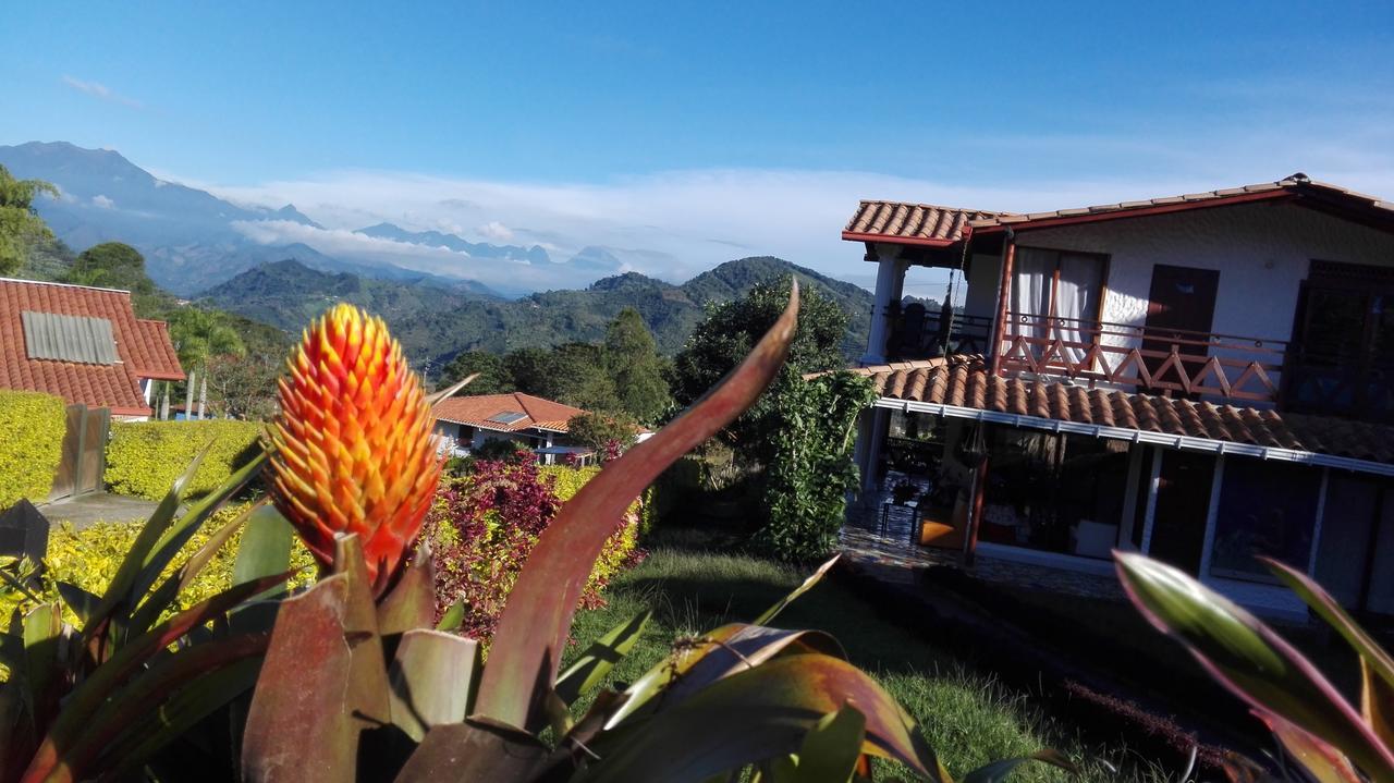 Coliving La Boira Bed and Breakfast Jardín Eksteriør billede